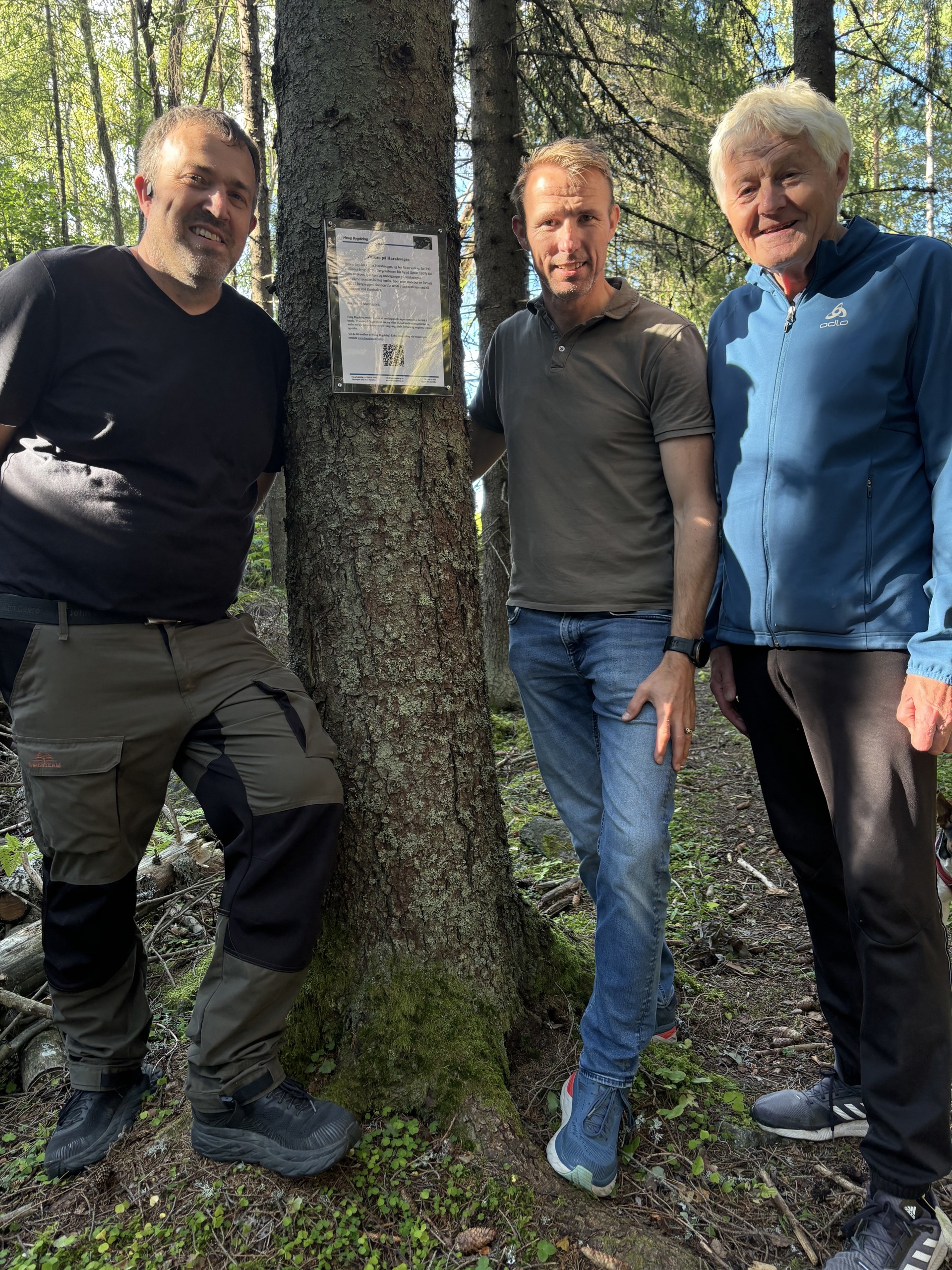 Kultursti med ordrebus